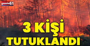Orman yangınları soruşturmasında flaş gelişme