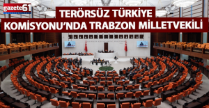 Trabzon Milletvekili 'Terörsüz Türkiye' Komisyonunda...