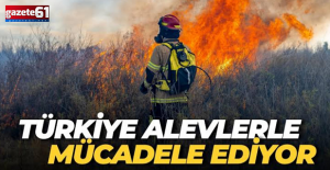 Türkiye'nin 5 ilinde alevlerle mücadele sürüyor!
