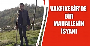 Vakfıkebir'de Bir Mahallenin İsyanı