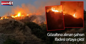 Yangının nedeni belli oldu! Dikkat çeken 'Kene! detayı...