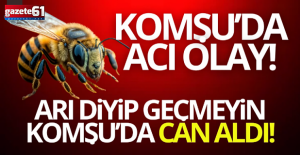 Arı can aldı