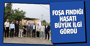 FOŞA FINDIĞI HASATI BÜYÜK İLGİ GÖRDÜ