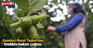 Gazeteci Murat Taşkın’dan fındıkta emek ve bakım çağrısı