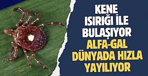 Kene ısırığı ile bulaşıyor, hayvansal gıda ile tetikleniyor: Alfa-Gal dünyada hızla yayılıyor