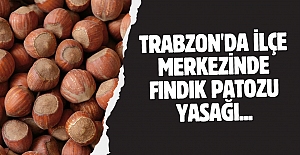 Trabzon'da ilçe merkezinde fındık patozu yasağı...