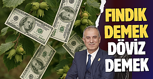 Fındık döviz kazandırıyor