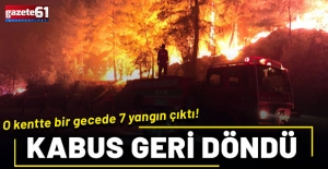 Kabus geri döndü! Muğla'yı alevler sardı: Bir gecede 7 yangın birden çıktı