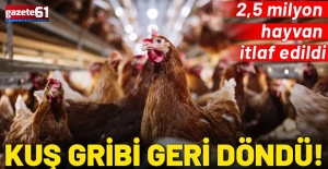 Kuş gribi geri döndü!