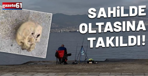 Oltasına denizde insan kafatası takıldı