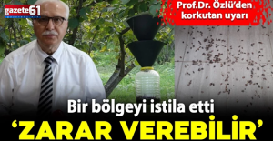 Prof. Dr. Özlü'den korkutan 'kahverengi kokarca' uyarısı: "Zarar verebilir"