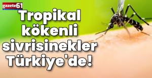 İklim değişikliği sebep oldu!