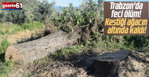 Trabzon'da Kestiği ağacın altında kaldı