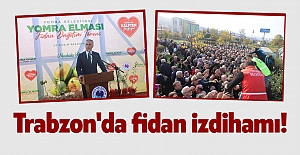 Trabzon'da fidan izdihamı!