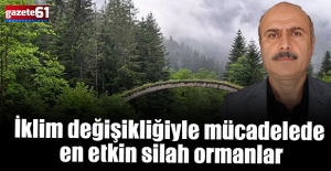 İklim değişikliğiyle mücadelede en etkin silah ormanlar