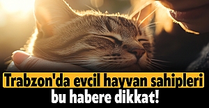 Trabzon'da evcil hayvan sahipleri bu habere dikkat!