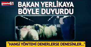 Zehir tacirleri bunu da denedi! Hayvanların içinde uyuşturucu yakalandı