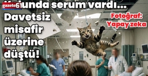 İstanbul’da “yok artık” dedirten dava: Serum alırken başına kedi düştü