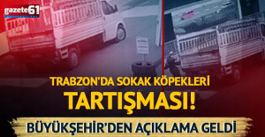 Trabzon'da köpekten kaçarken ağır yaralanmıştı: Büyükşehir'den açıklama geldi