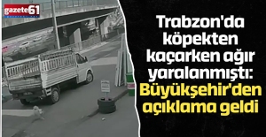 Trabzon'da köpekten kaçarken ağır yaralanmıştı: Büyükşehir'den açıklama geldi