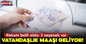Vatandaşlık maaşı geliyor! Rakam belli oldu: 3 seçenek var