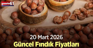 20 Mart 2026 Güncel Fındık Fiyatları