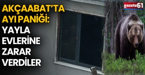 Akçaabat’ta Ayı Paniği: Yayla Evlerine Zarar Verdiler