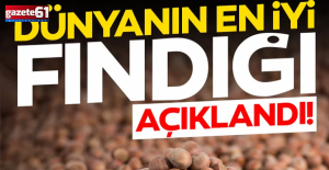 Dünyanın en iyi fındığı açıklandı: Türkiye’den o ilimiz listeye damgasını vurdu!