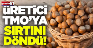 TMO Fındıkta kriz büyütüyor!