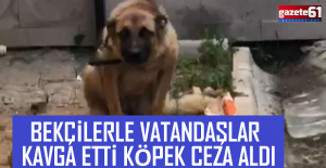 BEKÇİLERLE VATANDAŞLAR  KAVGA ETTİ KÖPEK CEZA ALDI