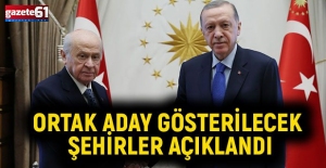 Bahçeli, ortak aday gösterilecek illeri açıkladı